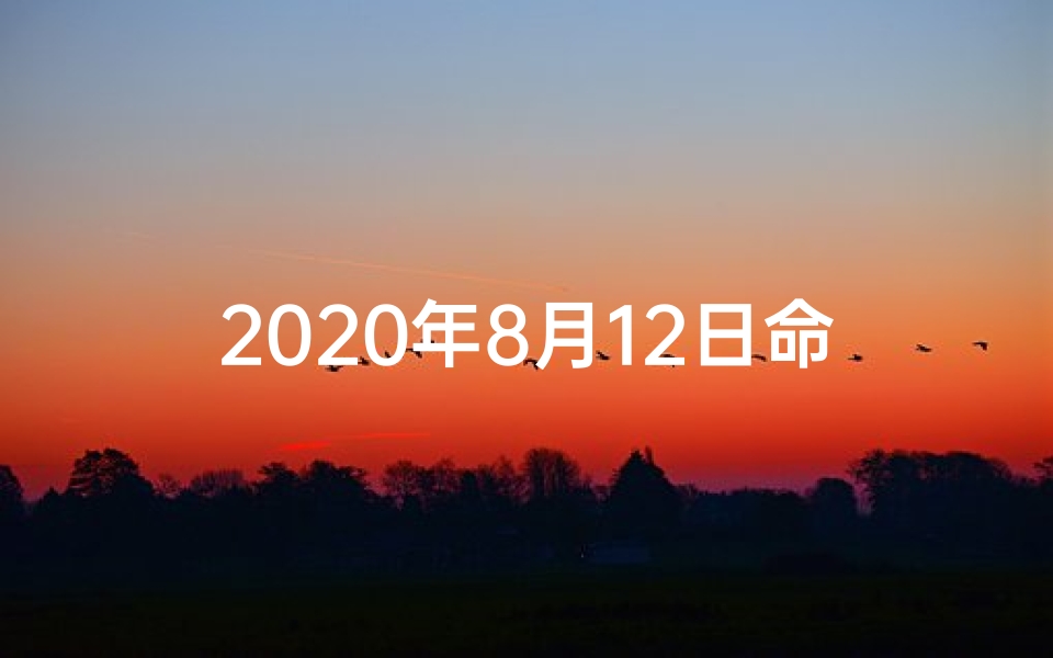 2020年8月12日命格-2020年8月12日五行属什么