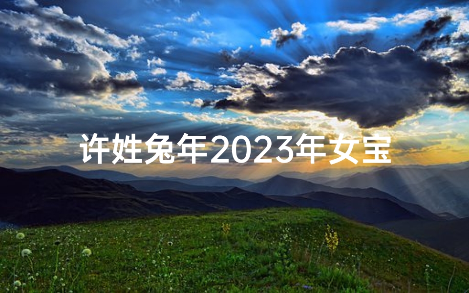 许姓兔年2025年女宝宝名字(许姓兔年2025年女宝宝名字大全)