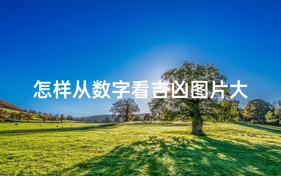 怎样从数字看吉凶图片大全集,数字吉凶揭秘：图片大全教你识吉凶