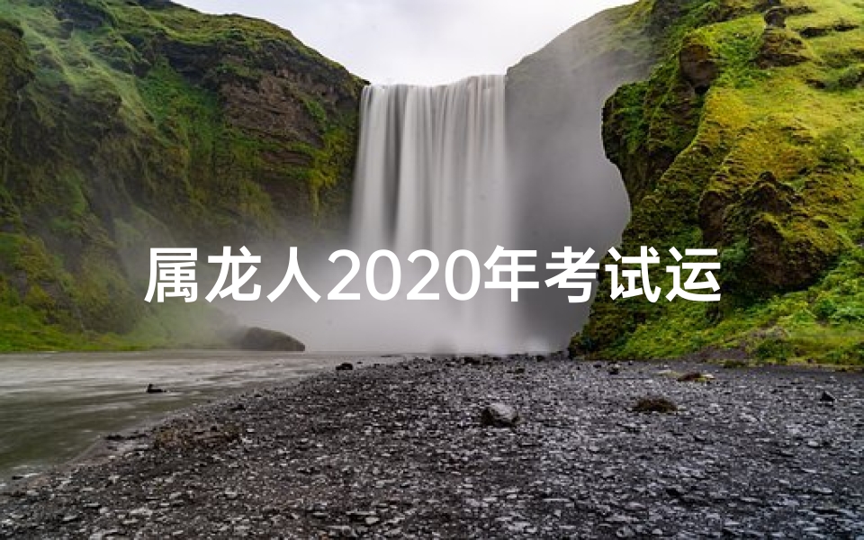 属龙人2020年考试运势_属龙2019年：考试吉日大揭秘