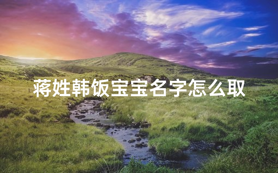 蒋姓韩饭宝宝名字怎么取—蒋姓韩饭宝宝：追星路上的甜蜜与成长