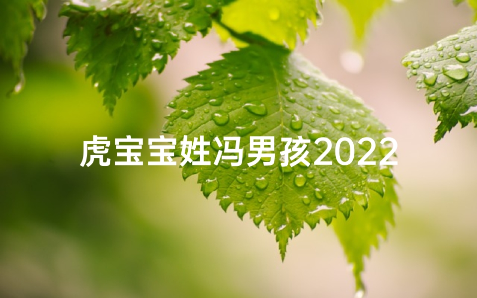 虎宝宝姓冯男孩2025年名字