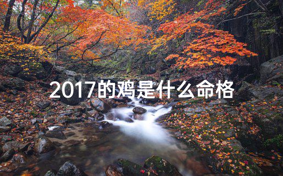 2017的鸡是什么命格的人—2017年鸡年命格揭秘：金鸡独立展翅飞