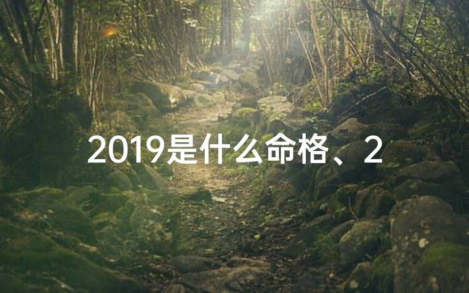 2019是什么命格、2019年运势揭秘：这一年是什么命格？