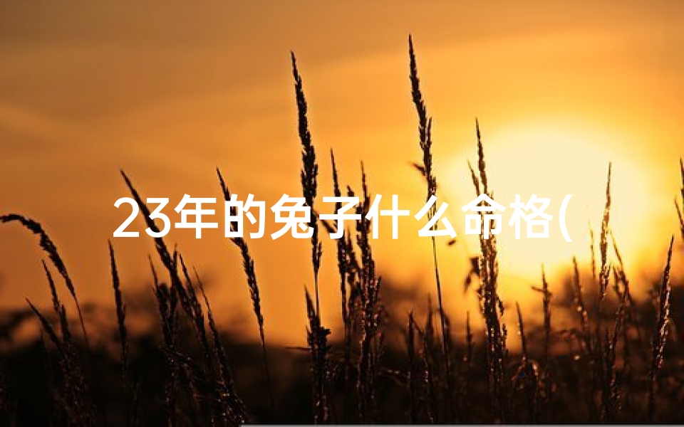 23年的兔子什么命格(《2023年兔子运势：揭秘兔年命格新篇章》)