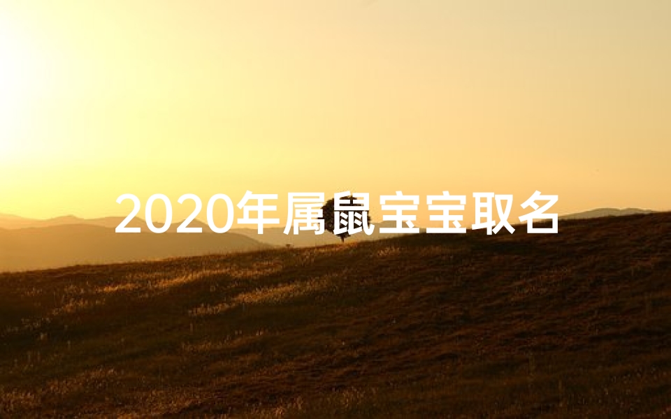 2020年属鼠宝宝取名的五行怎么配-《鼠宝宝起名：五行搭配吉凶揭秘》