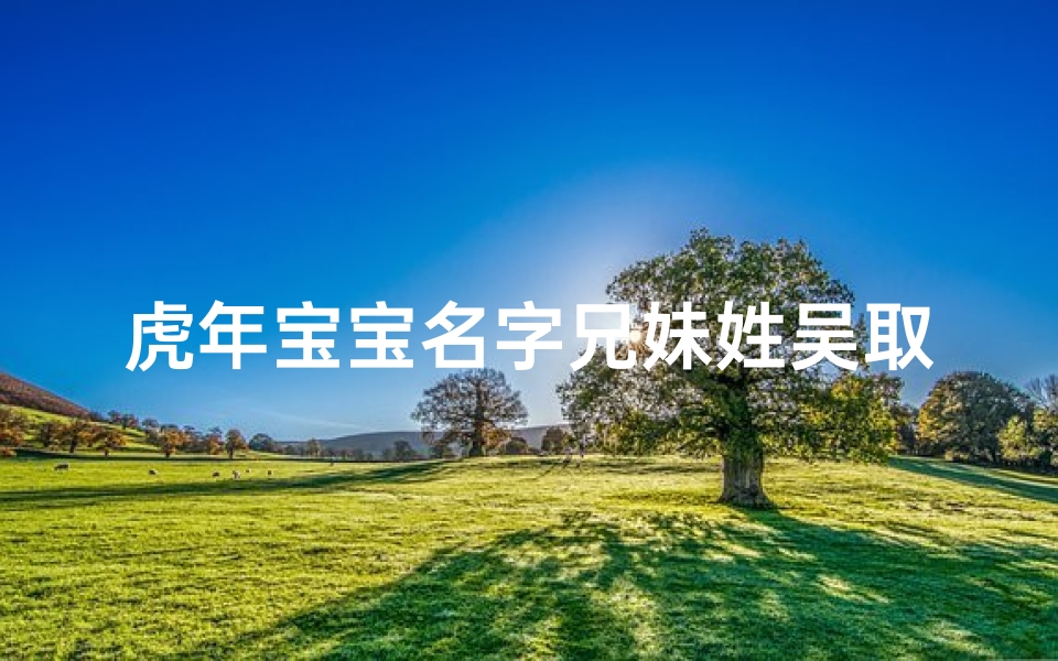 虎年宝宝名字兄妹姓吴取名—姓吴的虎宝宝取什么名字比较好