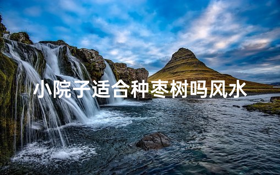 小院子适合种枣树吗风水;小院种枣树好吗