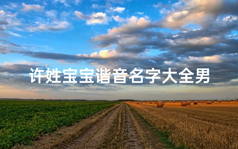 许姓宝宝谐音名字大全男孩,许姓宝宝谐音巧取名，男孩名字大全集