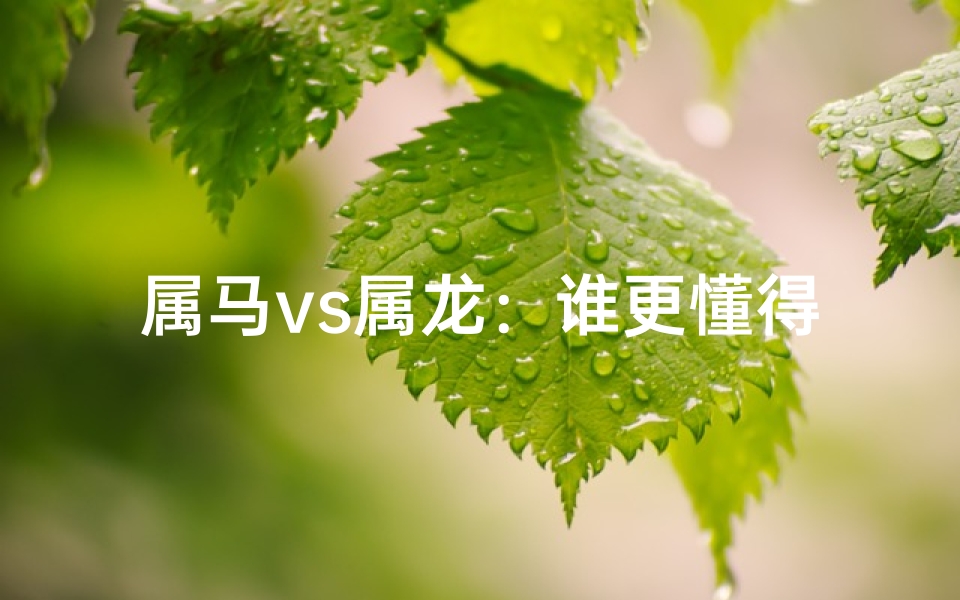 属马vs属龙：谁更懂得家庭温暖？