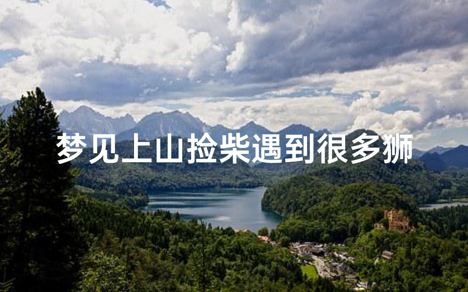 梦见上山捡柴遇到很多狮子(梦见上山捡柴遇到很多狮子什么意思)