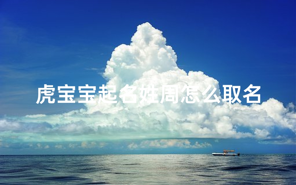 虎宝宝起名姓周怎么取名字