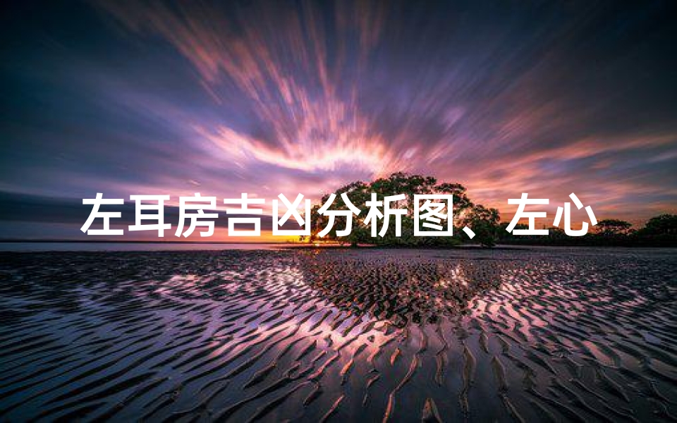 左耳房吉凶分析图、左心房左耳