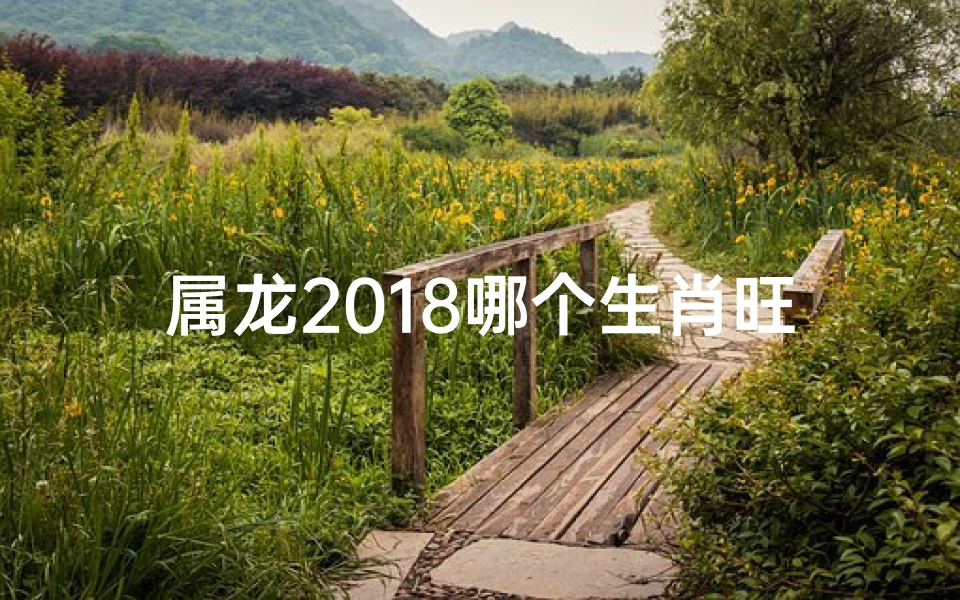 属龙2018哪个生肖旺龙