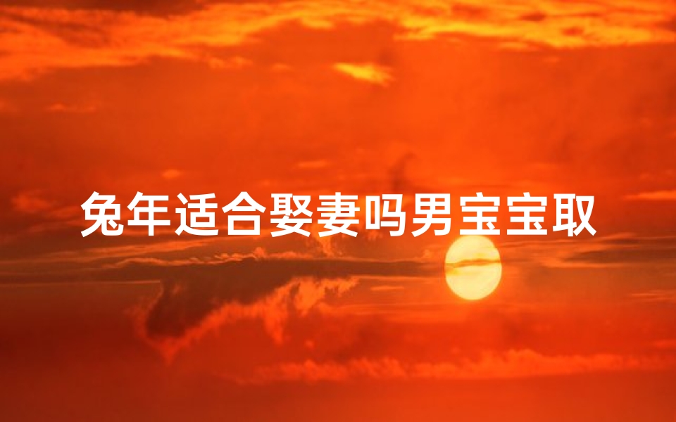 兔年适合娶妻吗男宝宝取名字_《兔年吉祥：适合娶妻男宝宝取名精选》