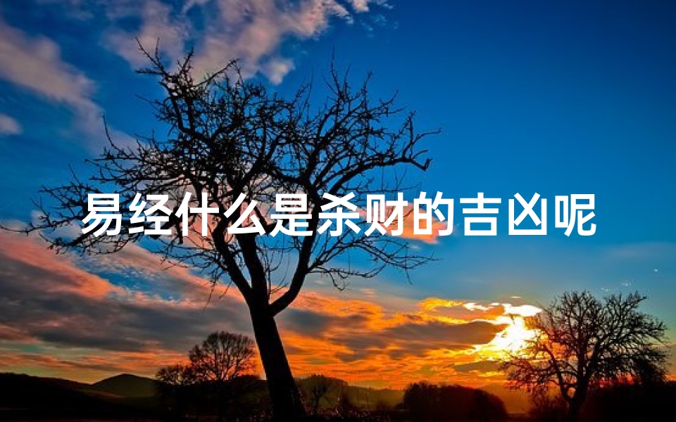 易经什么是杀财的吉凶呢_《易经探秘：杀财之吉凶奥秘解析》