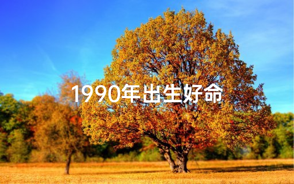 1990年出生好命