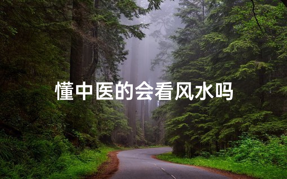 懂中医的会看风水吗