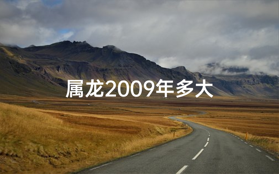 属龙2009年多大