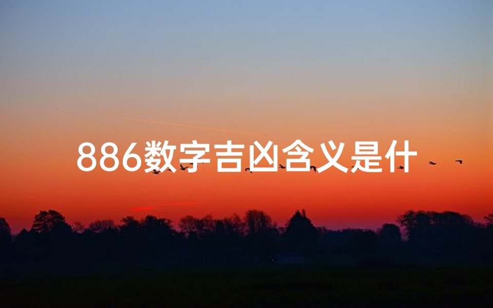 886数字吉凶含义是什么(《揭秘886数字吉凶：好运还是厄运？》)