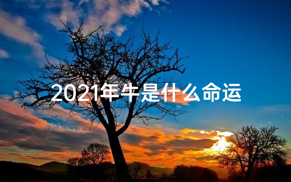 2021年牛是什么命运;2021牛年命格揭秘：运势解析与吉祥物推荐