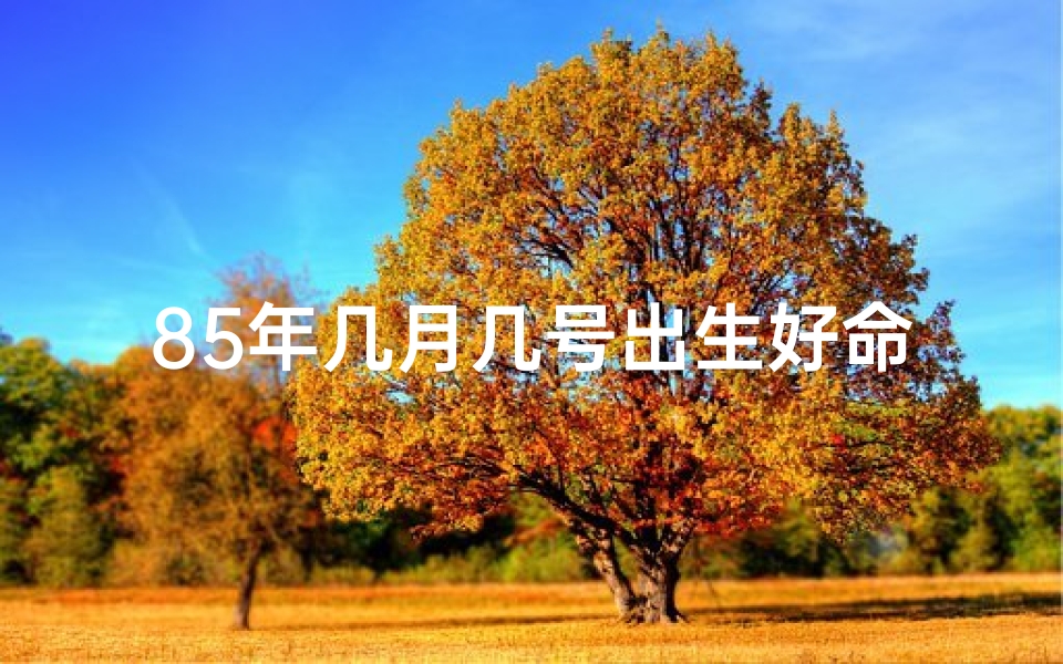 85年几月几号出生好命