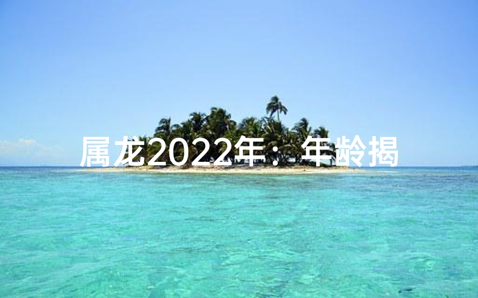 属龙2025年：年龄揭秘，生肖龙者新岁几何