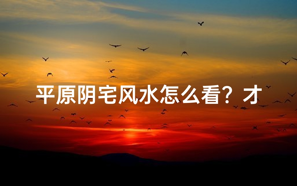 平原阴宅风水怎么看？才人财两旺;《平原阴宅吉凶图解：揭秘风水奥秘》