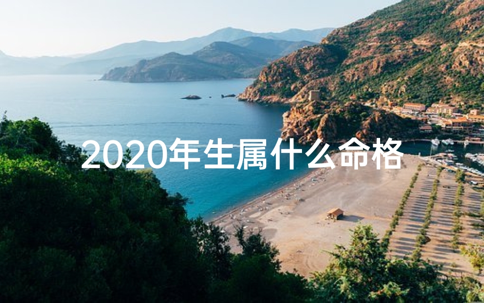 2020年生属什么命格：揭秘生肖运势密码