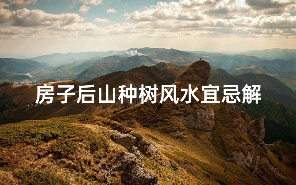 房子后山种树风水宜忌解析