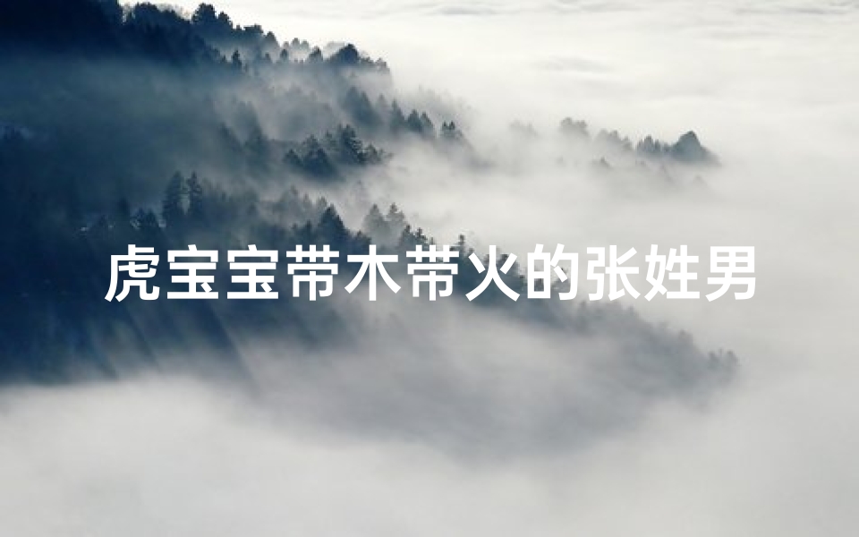 虎宝宝带木带火的张姓男孩名字,《张姓虎宝宝：木火相生，勇猛如虎的火辣名字》