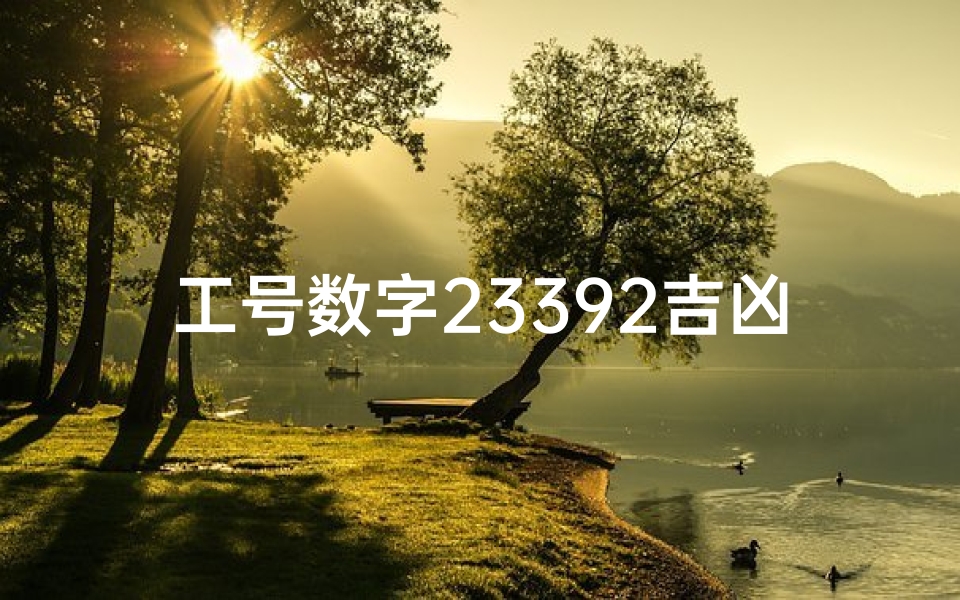 工号数字23392吉凶_2333数字吉凶