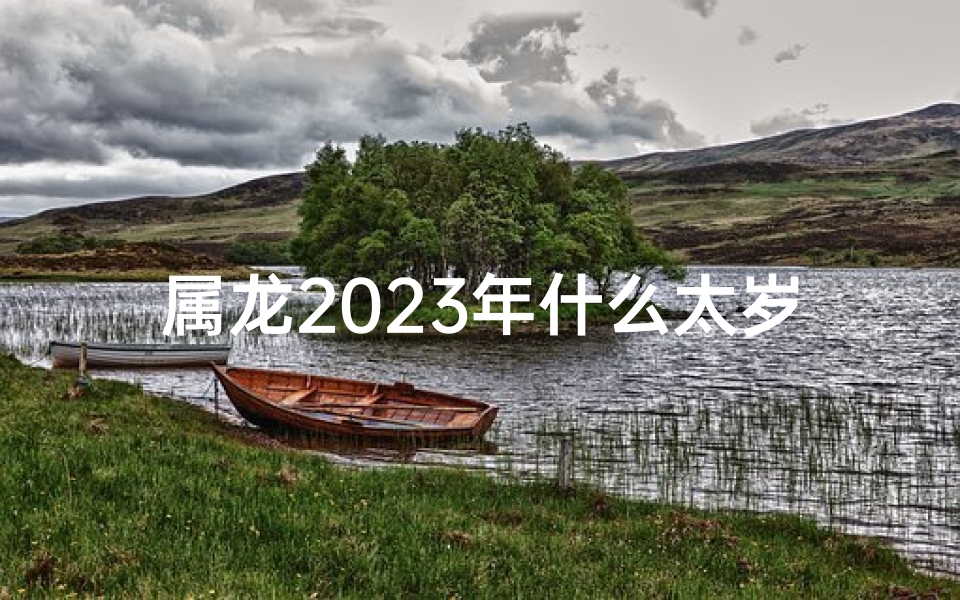 属龙2025年什么太岁、2025年属龙的人是什么命