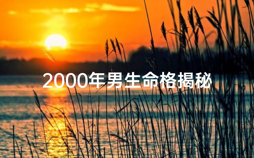 2000年男生命格揭秘：解码你的命运密码