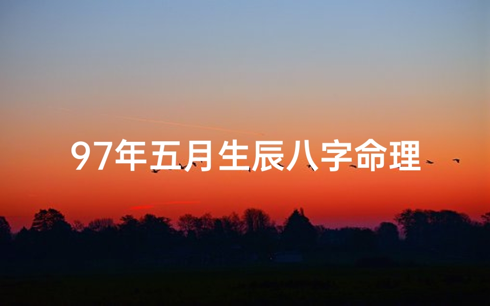 97年五月生辰八字命理-97年五月生辰八字命理详解