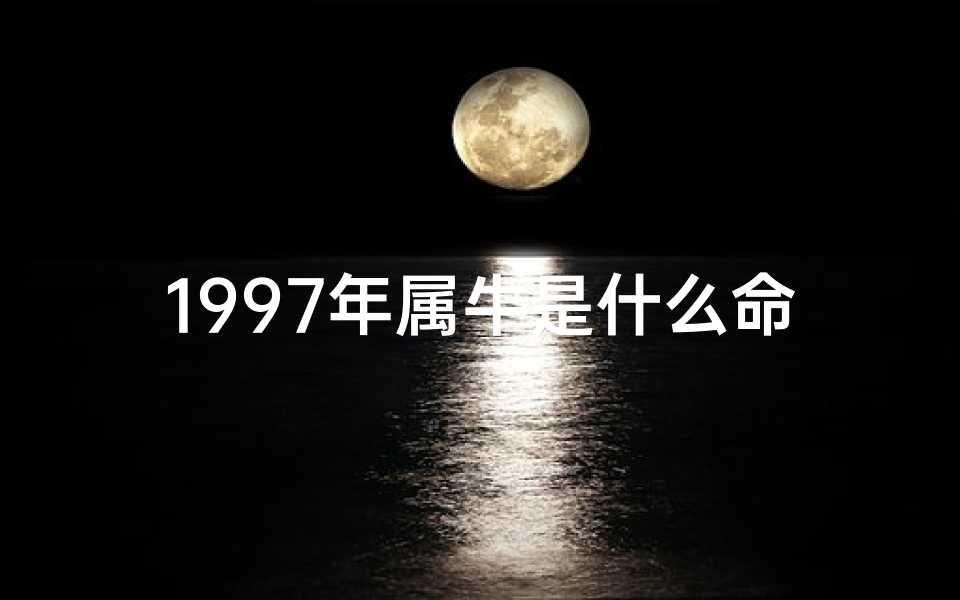 1997年属牛是什么命人,1997年属牛之人：揭秘你的命运格局