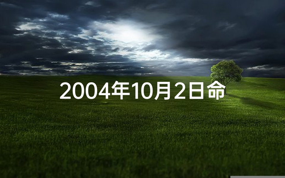 2004年10月2日命格;2004年10月2日的八字