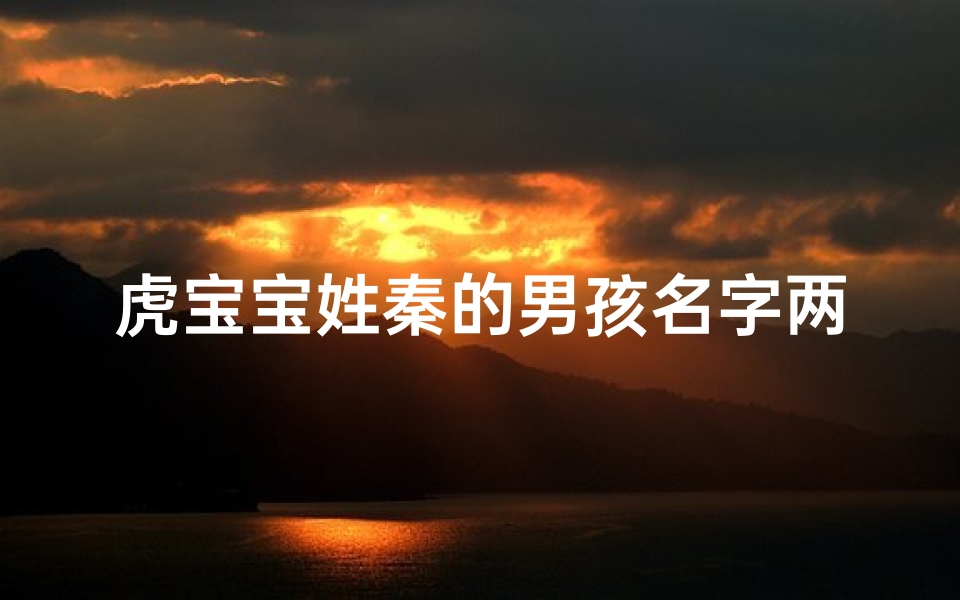 虎宝宝姓秦的男孩名字两个字、秦虎宝宝：威猛雄风，未来之星闪耀登场