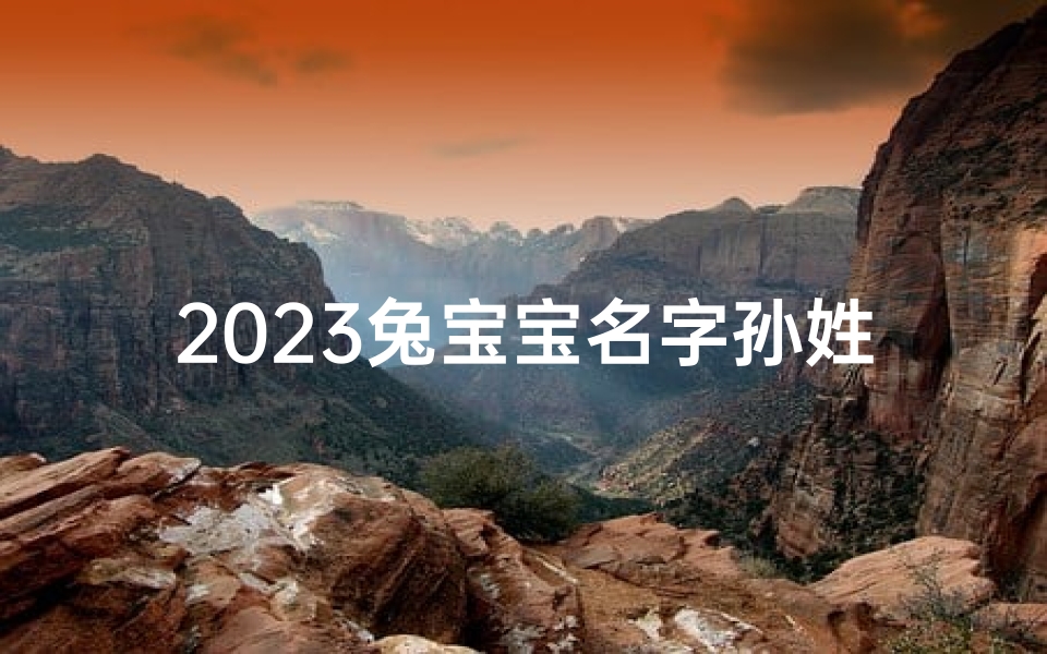 2023兔宝宝名字孙姓男;孙姓兔宝宝2023，喜庆吉祥好名字