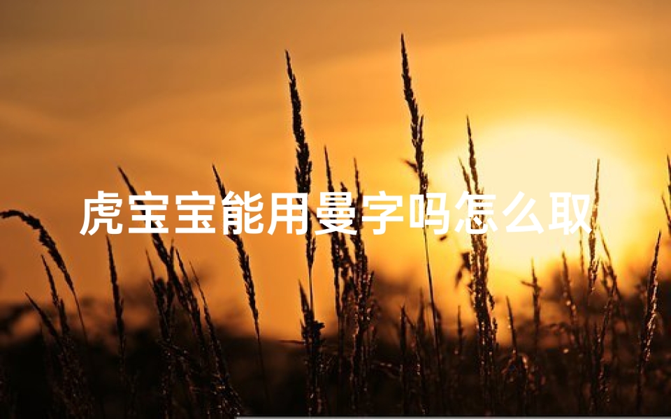 虎宝宝能用曼字吗怎么取名