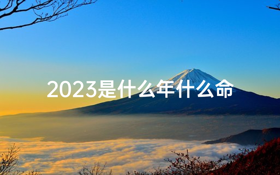 2023是什么年什么命,2023年人命格揭秘：新纪元命运密码