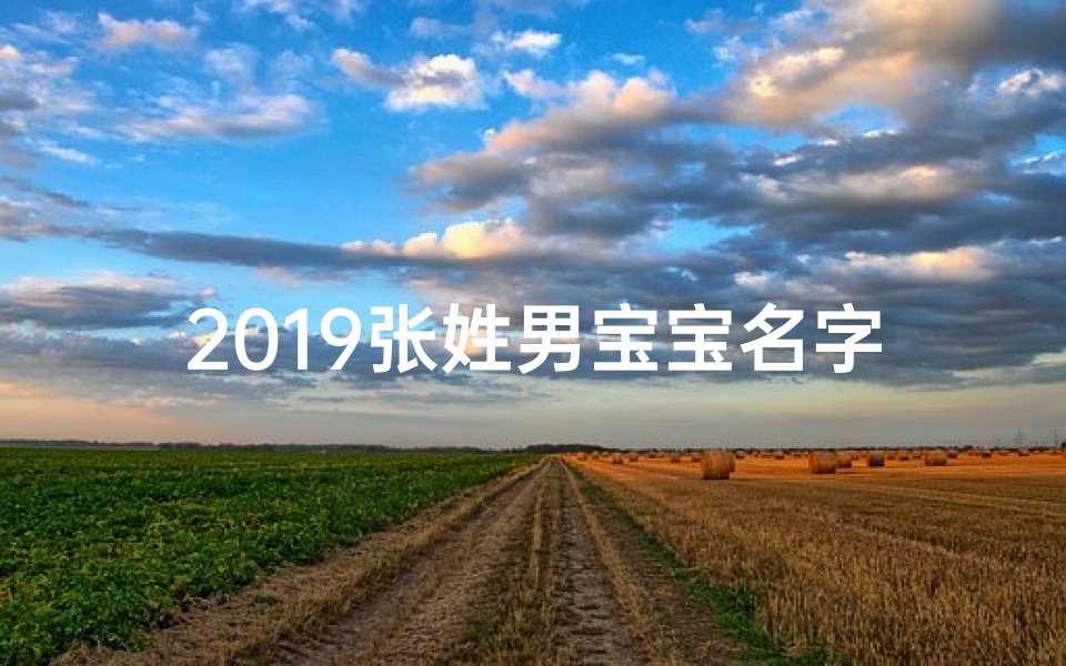 2019张姓男宝宝名字;张姓男宝宝取名字