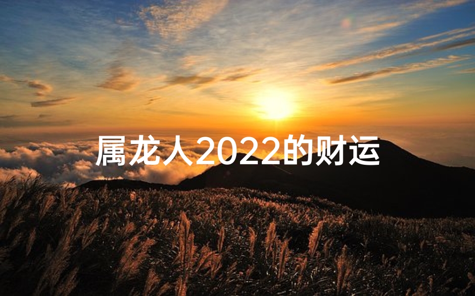 属龙人2022的财运