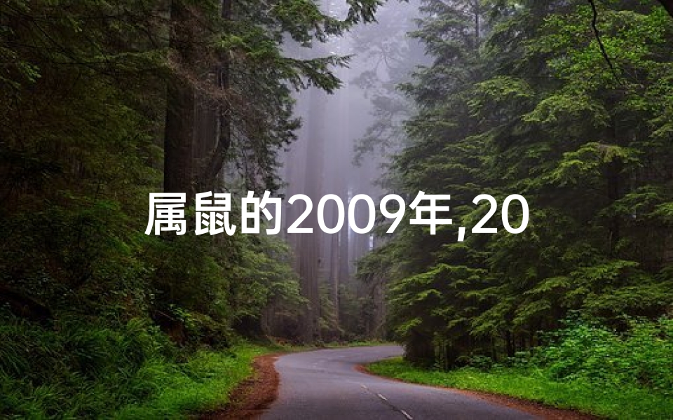 属鼠的2009年,2009年属鼠人的全年运势