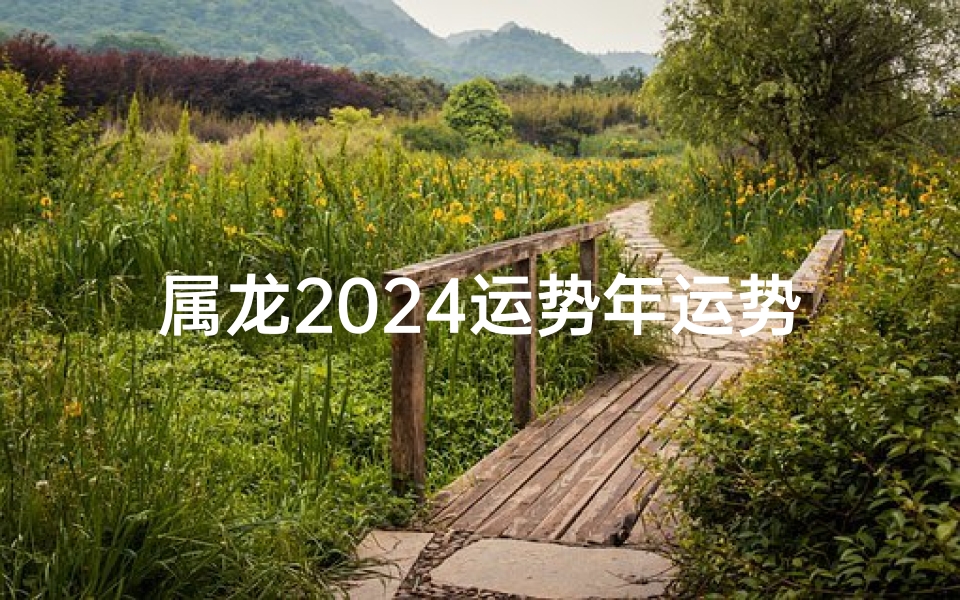 属龙2024运势年运势