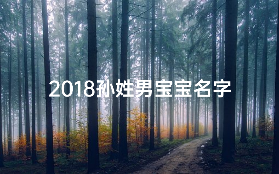 2018孙姓男宝宝名字