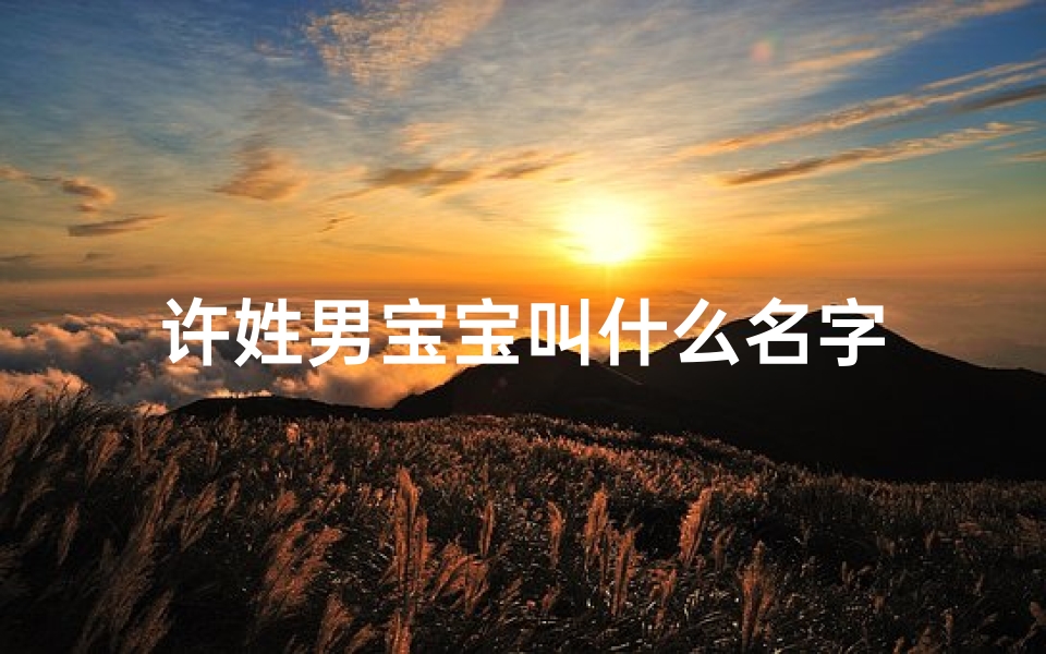 许姓男宝宝叫什么名字