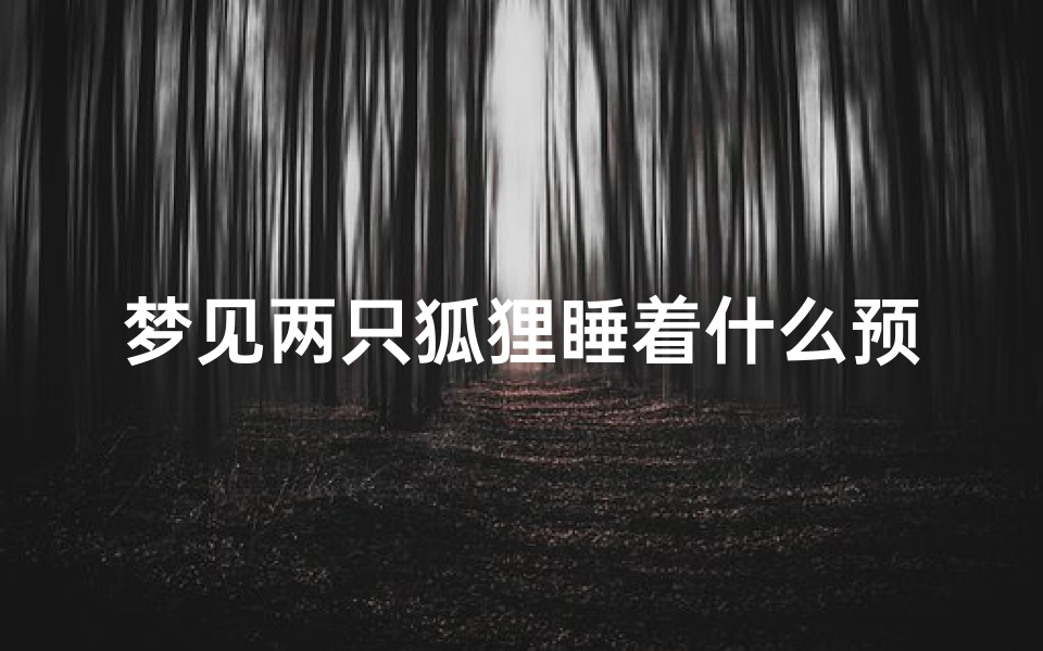 梦见两只狐狸睡着什么预兆_梦见两只狐狸睡着什么预兆呢