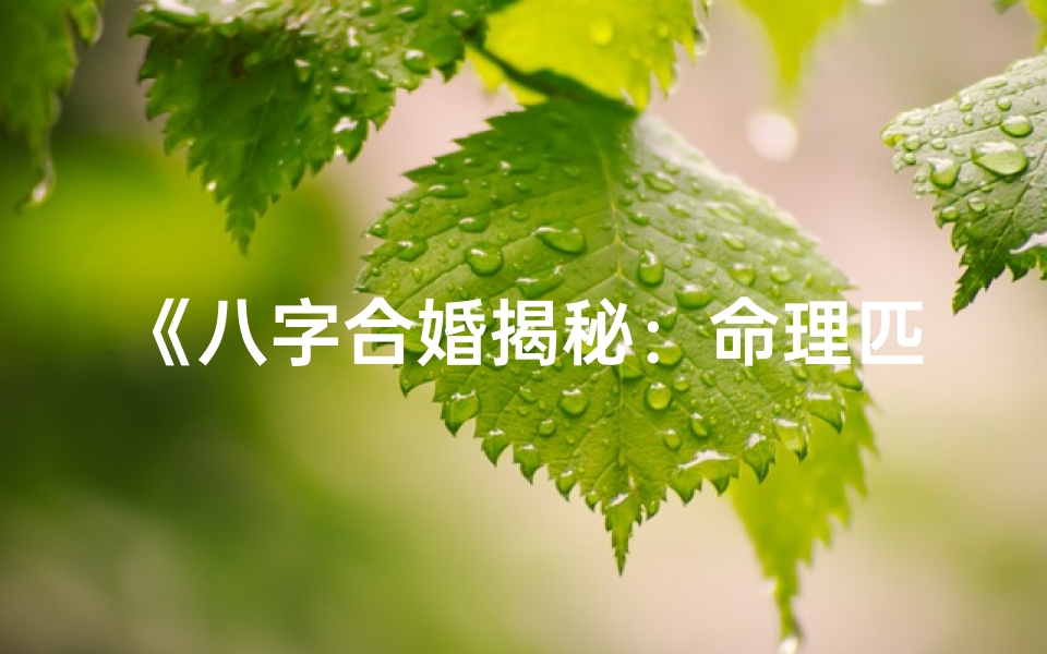 《八字合婚揭秘：命理匹配成就幸福姻缘》