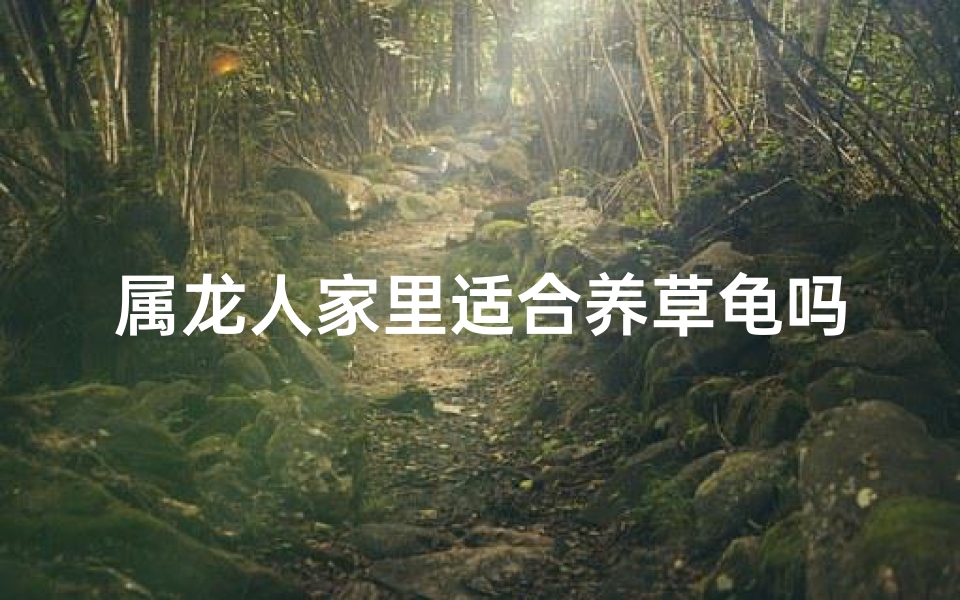 属龙人家里适合养草龟吗;属龙的家里能养乌龟吗